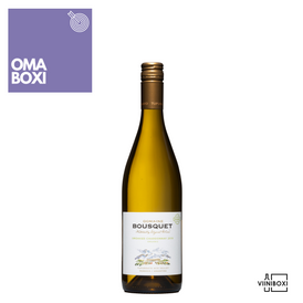 Domaine Bousquet Chardonnay (bio) Mendoza 2021 WO Argentiina